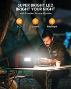 Apowking Portable Power Station 300W Rated(600W Peak), 256Wh LiFePO4 Battery, Solar Powered Power Bank with 2 AC Outlet 110V Pure Sine Wave, Solar Generator for Home Outdoor Camping Emergency