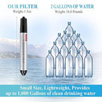 6 Pack Timain Mini Water Filter Straws,Water Purifier Survival for Emergency Preparedness,Break Glass,Travel,Camping, Hiking,Fishing,Hunting (6)