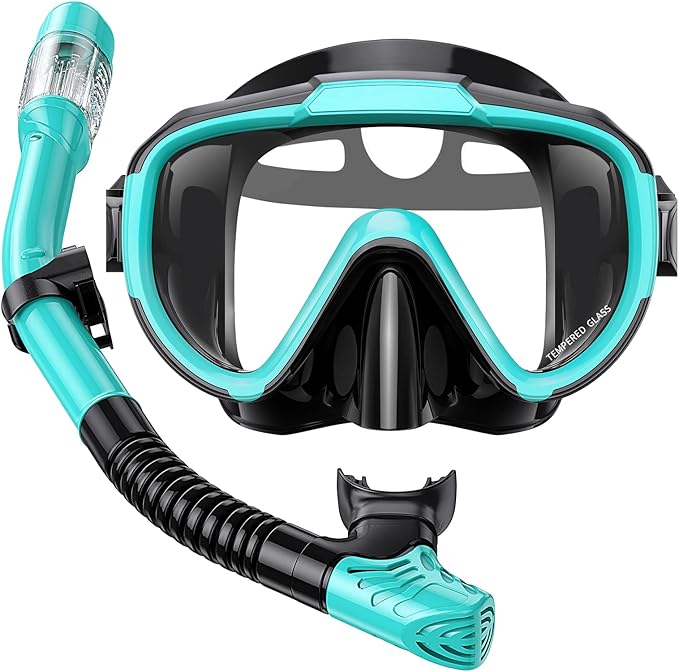 Snorkel Set Adults Snorkeling Gear Anti-Fog Panoramic View Swim Mask Dry Top Snorkel Kit with Carry Bag for Snorkeling Scuba Diving Swimming Travel