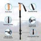 Laniti Nordic Walking Sticks – Adjustable Hiking Poles Expandable to 54" – Lightweight Trekking Poles with 10 Tips – Shock-Absorbing Carbon Fiber & Aluminum – for Men, Women