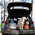 Collapsible Water Container with Spigot, 2×5.3 Gallon BPA Free Camping Water Storage Jug Carrier for Outdoors Hiking Backpack RV&Emergency, Survival Water Canteen-Portable Foldable Transparent