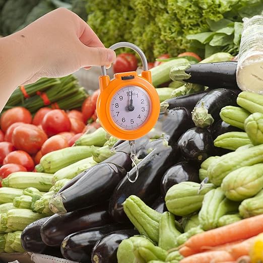 Amosfun Portable Mini Spring Hanging Scale with Hook High-Precision Compact Luggage Weight Scale for Travel for Suitcases and Bags