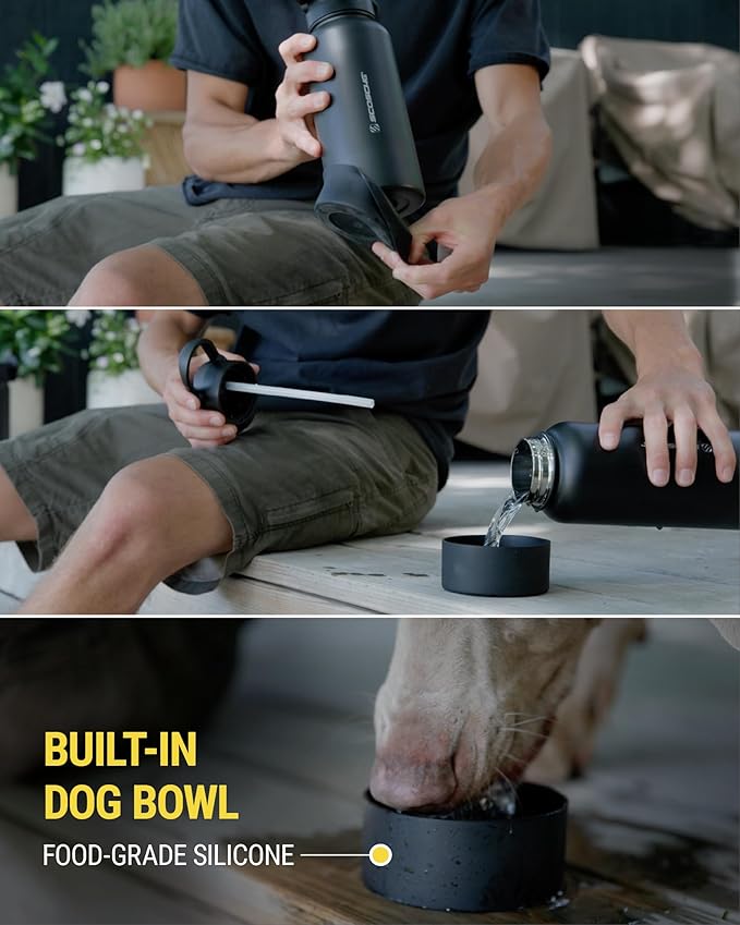 Scosche MFMS22 MagicMount Flask 22 oz Stainless Steel Water Bottle with MagSafe Phone Mount Stand, 12H Hot & 24H Cold Insulated Flask with Magnetic Phone Holder for Gym, Car, Travel, Sports 22oz, Blue