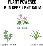 Quitch Mosquito Bug Repellent Roll On, Bug Spray for Kids Insect Repellent Travel Size, DEET-Free Vacation Essentials Travel Bug Spray, Natural Bug Repellent Wipes Alternative for People, Citronella