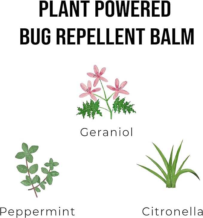 Quitch Mosquito Bug Repellent Roll On, Bug Spray for Kids Insect Repellent Travel Size, DEET-Free Vacation Essentials Travel Bug Spray, Natural Bug Repellent Wipes Alternative for People, Citronella