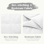 puredown® Queen Size Blanket for Bed, Ultra Soft Lightweight Down & Feather Fill, All Season Blanket, Machine Washable, 88"X90", Pure White