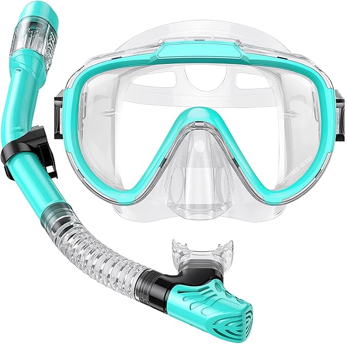 Snorkel Set Adults Snorkeling Gear Anti-Fog Panoramic View Swim Mask Dry Top Snorkel Kit with Carry Bag for Snorkeling Scuba Diving Swimming Travel