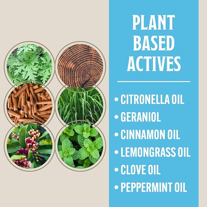 Grandpa Gus's Natural Mosquito Repellent Bracelets for Family, 300 Hours Protection, DEET-Free, Summer Outdoor Beach Camping Essentials, Glow in The Dark Assorted Colors, 24 Bands