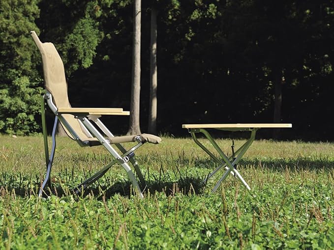 Snow Peak Low Beach Chair, Collapsible, Outdoor, Camping, Patio, Brown