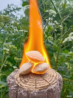 Fire Starter, New Upgrade 165 PCS Long Burning Odorless Natural Fire Starters, Easy to Ignite, Firestarter for BBQ, Grill, Campfires, Chimney Charcoal, Indoor & Outdoor Fire Pit, Fireplace, Wood Stove