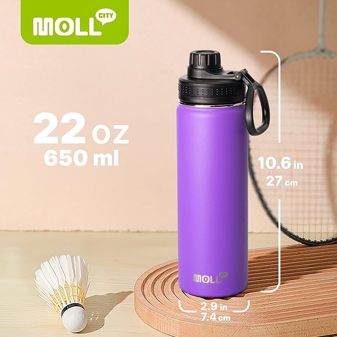 Insulated Water Bottle-22 oz Stainless Steel Double Wall Vacuum Wide Mouth Water Bottle with Spout Lid-Metal Leak Proof Flask for Travel (Purple)