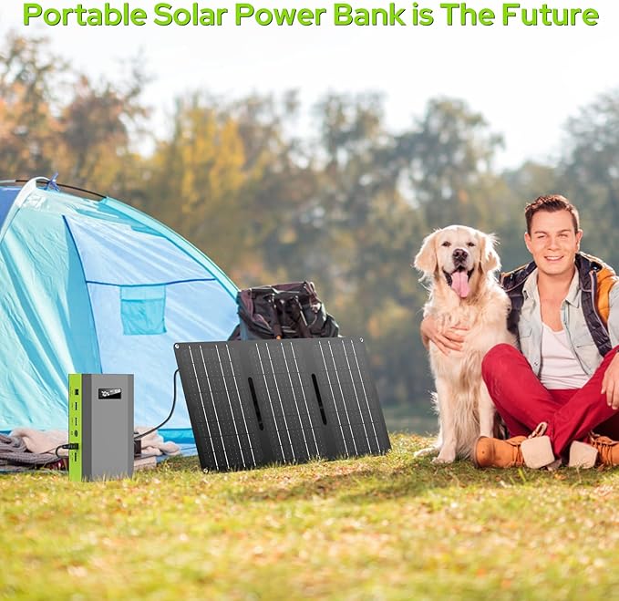 300W Solar Powered Power Bank Generator with 60W Panel, Portable Solar Power Station with DC AC Outlet 110V for Laptop Smart Devices RV Outdoor Camping