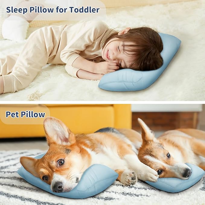 Pro Goleem Small Pillow 11’’x6’’x2.5’’ for Kids and Baby Sleeping with Name Tag Mini Tiny Pillow for Camping and Chair Car Air Nap Neck Lumbar Knee Rest Pillows, Blue