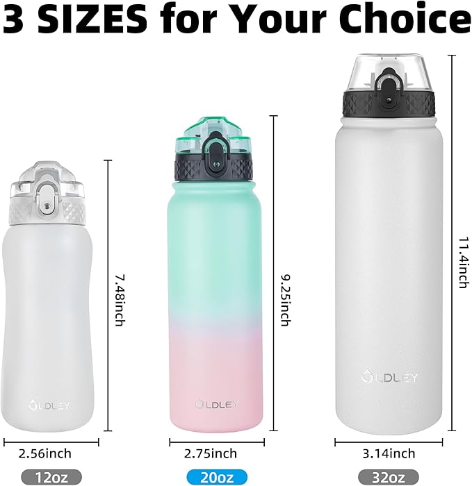 Insulated Water Bottle 20oz for Adults Kids Stainless Steel Water Bottles with Straw/Chug/Carabiner 3 Lids Fruit Strainer Double Wall Vacuum Wide Mouth BPA Free Sweat/Leak-Proof for School Travel