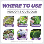 Earth's Ally 3-in-1 Plant Spray 32 oz | Safe & Organic Insecticide, Fungicide & Spider Mite Control, Use on Indoor Houseplants and Outdoor Plants, Gardens & Trees, Insect Repellent & Antifungal Use