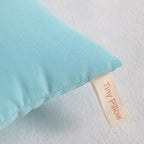 NTBAY Tiny Pillows, Down Alternative 7"x11" Microfiber Mini Pillow for Travel, Pets, Soft Machine Washable Small Pillows for Neck, Wrist, Lumbar and Knee, Aqua
