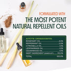 Murphy’s Naturals Mosquito Repellent Incense Sticks, 24 Count, DEET Free Insect Repellent with Citronella for Outdoor Yard, 2.5+ Hours per Stick