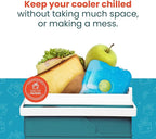 Healthy Packers Ice Packs for Lunch Boxes & Coolers - Freezer Packs - Original Cool Pack | Cooler Accessories for Beach, Camping & Fishing | Slim & Long-Lasting Reusable Ice Pack for Cooler