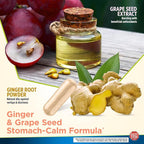 Vertigo Relief Product & Non‑Drowsy Motion Sickness Pills: Nausea and Dizziness, Ginger & Grape Seed Formula, Inner Ear Balance, Car, Cruise & Travel Essential, Stomach Support (80 Count – Pack of 3)