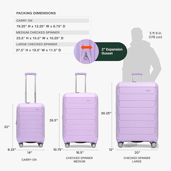 Traveler's Choice Pagosa Hardshell Expandable Luggage with Spinner Wheels, Lavender, 2-Piece Set (22/26)