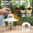 EverBrite LED Camping Lantern Pack of 2, USB C Rechargeable Lantern with 3 Light Modes, Vintage Outdoor Lanterns with Power Bank Function for Power Outages, Hurricane, Emergency, Fishing