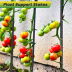 24 inches Straight Rebar Stakes 18-Pack Ground Stake Heavy Duty Metal Steel Spikes for Gardening, Concrete Forming and Camping Tent