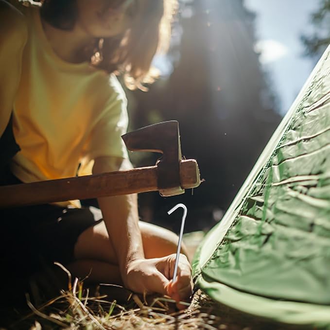 AAGUT Tent Stakes, Tent Stake Metal Garden Edging Fence Hooks Yard Camping Stake Heavy Duty Galvanized 9 Inch (9 Inch Tent Stakes ONLY, 50)