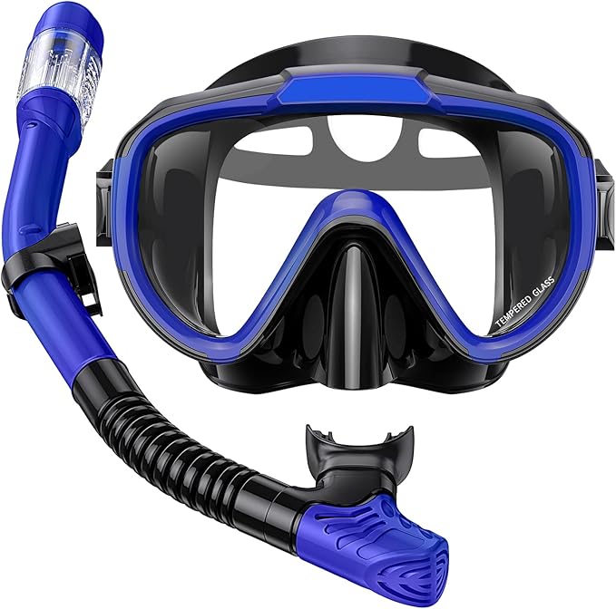 Snorkel Set Adults Snorkeling Gear Anti-Fog Panoramic View Swim Mask Dry Top Snorkel Kit with Carry Bag for Snorkeling Scuba Diving Swimming Travel