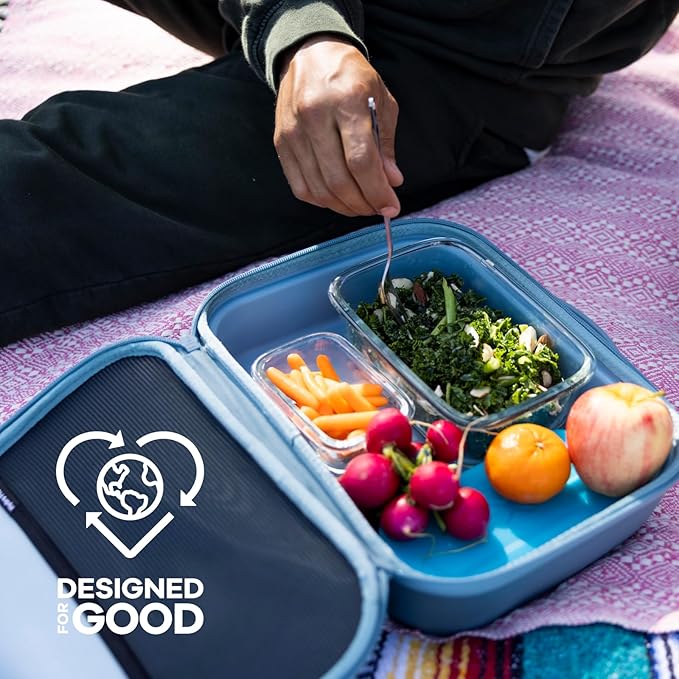 Hydro Flask Carry Out Lunch Box – Insulated Adult Lunch Cooler for Men and Women 5 L Beachplum Black