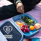 Hydro Flask Carry Out Lunch Box – Insulated Adult Lunch Cooler for Men and Women 5 L Sandpiper