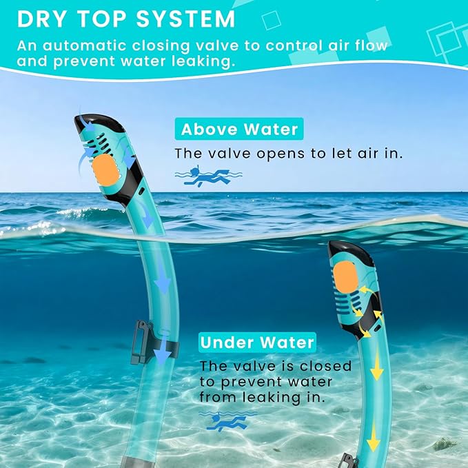 Snorkeling Gear for Adults, Adult Snorkel Mask Set Scuba Diving Dry-Top, Swimming Goggles w/Nose Cover, HD Tempered Glass Panoramic Anti-Leak Anti-Fog, Travel Snorkeling Packages Storage Bag, 2 Pack