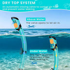 Snorkeling Gear for Adults, Adult Snorkel Mask Set Scuba Diving Dry-Top, Swimming Goggles w/Nose Cover, HD Tempered Glass Panoramic Anti-Leak Anti-Fog, Travel Snorkeling Packages Storage Bag, 2 Pack