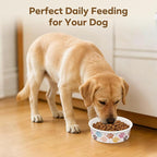 50 Pack Disposable Dog Bowls, 16 oz Paper Pet Bowls for Cats & Dogs, Disposable Cat Food Bowls for Dry Wet Food & Water, Travel Feeding Bowls for Small Medium Pets