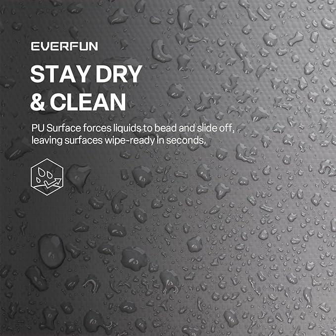 EVERFUN Small Cooler Lunch Box Mini Leak-Proof Soft Double Deck 24 Can Personal Insulated Collapsible Portable Waterproof Lunch Bag Ice Chest for Men Women Work Travel Car Picnic Beach