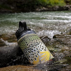 Epic Water Filters Nalgene OG Water Bottle with Filter, USA Made, BPA Free, Removes 99.99% Tap Water Contaminants, Forever Chemicals, Rep Your Water Art, 48 oz