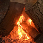 Billy Buckskin Co. Fatwood Fire Starter Sticks | Easy & Safe Fire Starter | Start a Fire with just 2 Sticks | Works in Any Weather Conditions | Burlap Bag (2 Pound Bag)