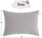 BEDSUM 2 Pack Pillows, 13"x18" Microfiber Pillow for Travel, Pet, Soft and Machine Washable Small Pillows for Neck, Wrist, and Knee Comfort, Light Grey