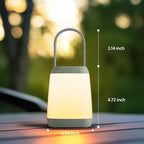 2 Pack LED Camping Lights, Battery Powered LED Camping Lantern with 3 Modes, Portable Night Light for Tent, Hiking, Emergency, Backpacking, Indoor and Outdoor Use