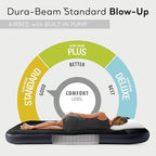 INTEX Dura-Beam Standard Pillow Rest Air Mattress: Fiber-Tech
