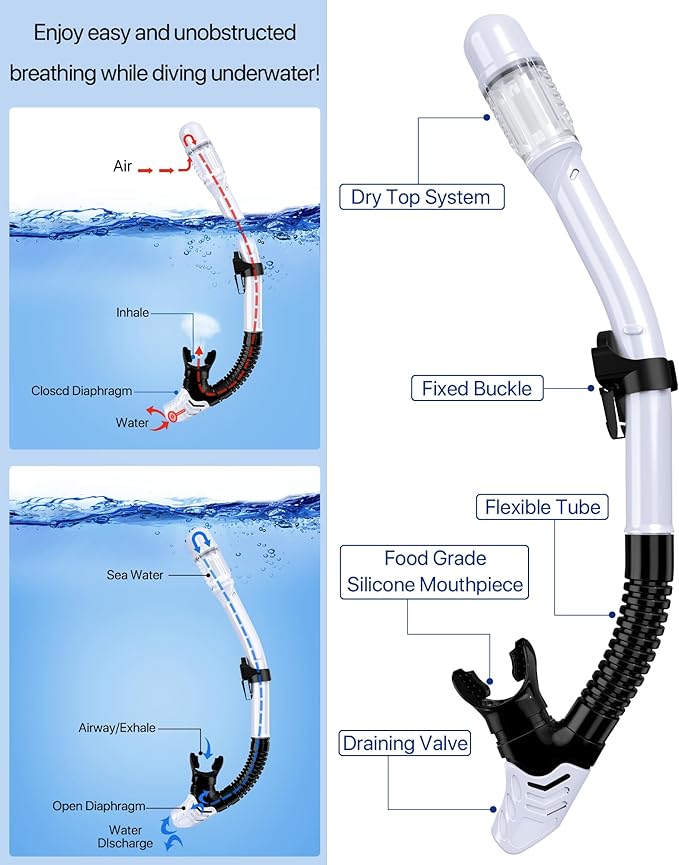 Snorkeling Gear for Adults Men Women,4 in 1 Snorkel Set with Panoramic View Diving Mask Anti-Fog Anti-Leak,Dry Top Snorkel,Fins and Travel Bag for Swimming,Snorkeling and Travel Diving