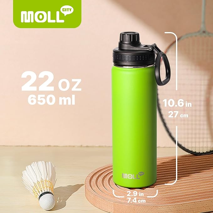 Insulated Water Bottle-22 oz Stainless Steel Double Wall Vacuum Sports Water Bottle with Spout Lid-Metal Leak Proof Travel Water Flask for Travel (Apple Green)