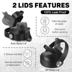 32oz Insulated Water Bottle Keep Cold 24h&Hot 12h, Double Wall Vacuum Insulated Water Bottles with Straw/Spout Lid, Stainless Steel Water Bottles that Fit in Any Car Cup Holder, Leak-proof