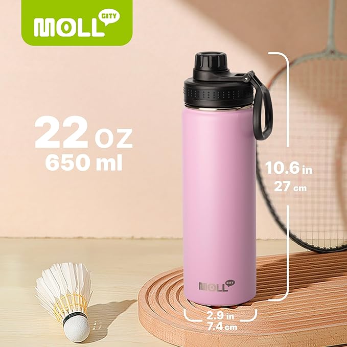 Insulated Water Bottle-22 oz Stainless Steel Double Wall Vacuum Sports Water Bottle with Spout Lid-Metal Leak Proof Travel Water Flask for Girls (Purple Pink)