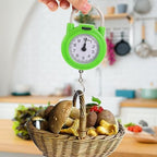 DOITOOL Portable Luggage Scale Manual Spring Hook Small Travel Suitcase Weight Scale High Precision Handheld for Travel and Home Use Fluorescent Green