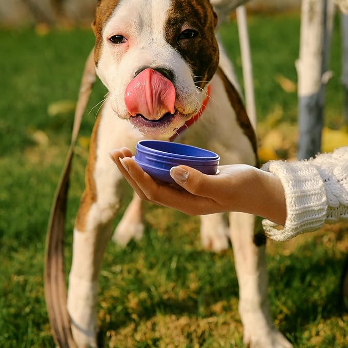 BOTTLE BOTTLE 40 oz sports water bottle stainless steel insulated water bottle with straw and pills holder