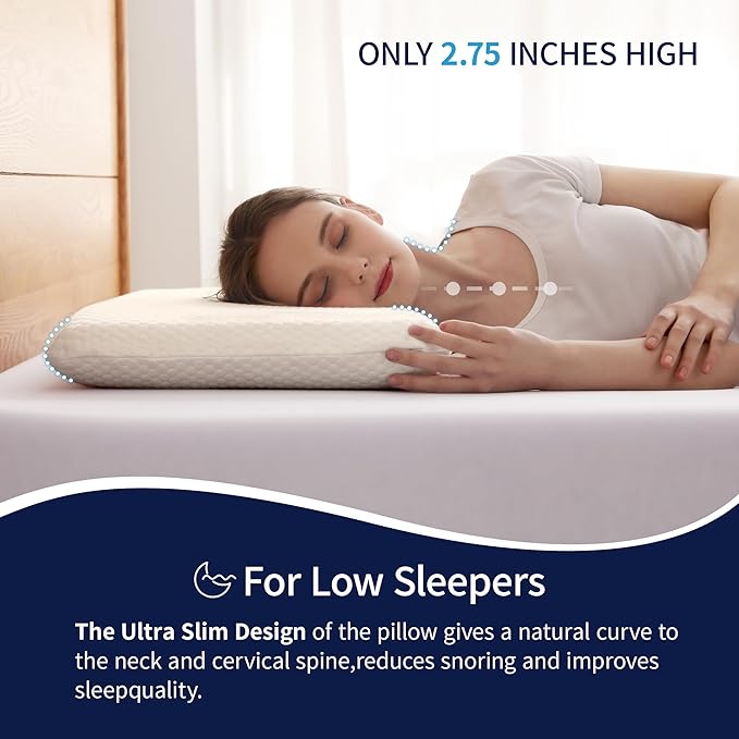 Ultra Thin Flat Pillow for Sleeping, 2.75'' Thin Pillow for Back Sleeper, Supportive Stomach Sleeping Pillow, Slim Bed Pillow, Machine Washable-Standard Size
