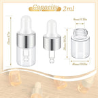 100 Pcs Mini Glass Oil Dropper Bottle Bulk, Clear Essential Small Empty Bottles Sample Containers Perfume Liquid Vials with Cap for Traveling (2 ml,Silver)