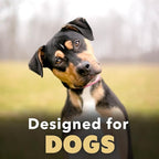 Mosquito Repellent Spray for Dogs, DEET-Free & Pet-Safe Bug Spray for Outdoor Protection, 16 oz (475mL)