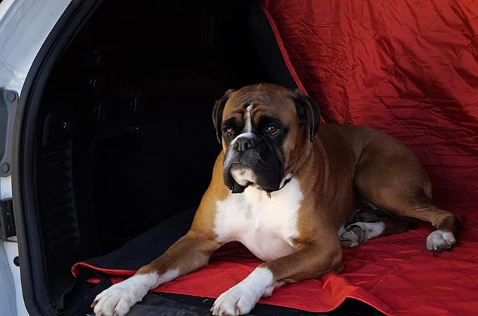 DOWN UNDER OUTDOORS Large Waterproof Windproof Extra Thick 350 GSM Quilted Fleece, or Sherpa Stadium Blanket