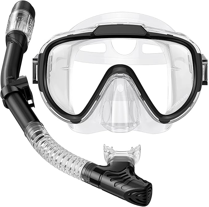 Snorkel Set Adults Snorkeling Gear Anti-Fog Panoramic View Swim Mask Dry Top Snorkel Kit with Carry Bag for Snorkeling Scuba Diving Swimming Travel